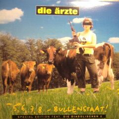 5,6,7,8 Bullenstaat (feat. die diabolischen 2)